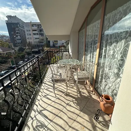 The Doctor's * تيرانا