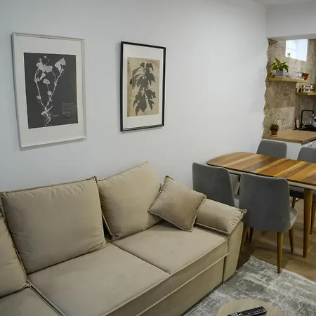 The Doctor's * تيرانا