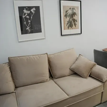 The Doctor's * تيرانا