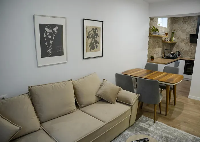 The Doctor's * 地拉那