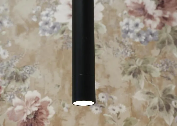 The Doctor's * 地拉那