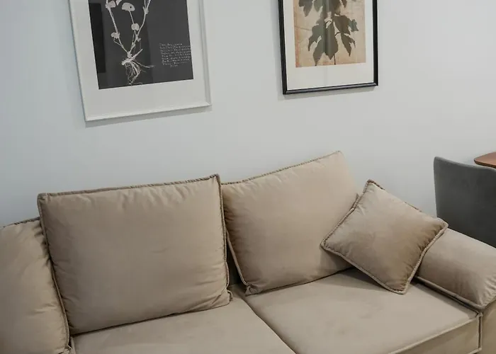 The Doctor's * 地拉那