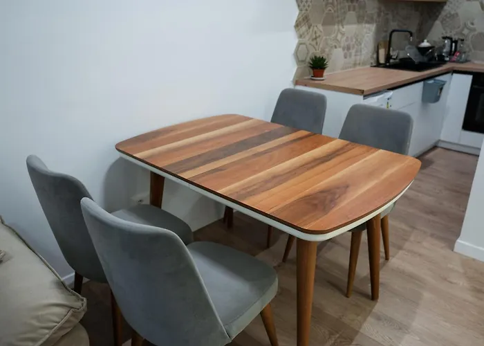 The Doctor's * 地拉那